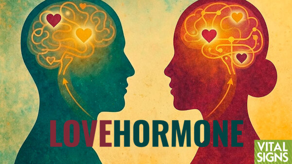 [PREMIERING at 1/10 12:00 PM ET] Why Men and Women Need Each Other: The Biochemistry of Love