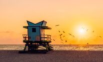 24 Hours in Miami