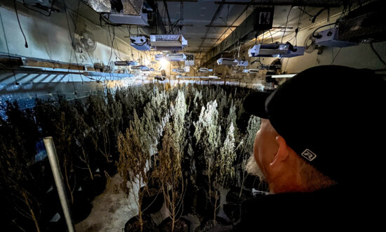 Chinese Nationals Among 51 Indicted Over Marijuana Grow Operations in Oklahoma