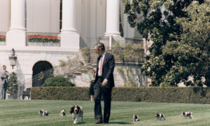 Laughter in the Oval Office: Presidents and the Healing Power of a Well-Timed Joke