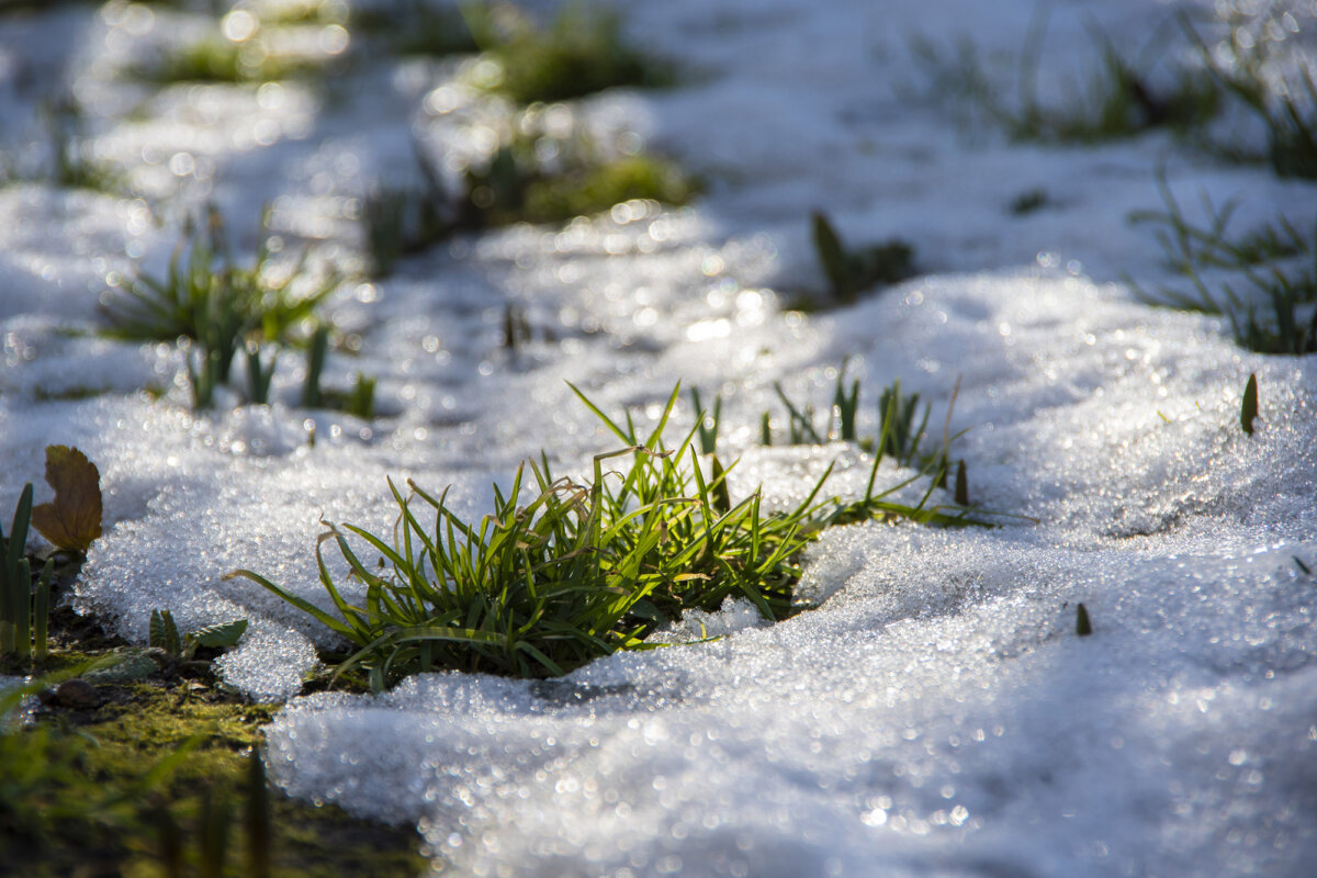 Proper winter care helps lawns recover from the transition of freezing temperatures to spring thaw. (Oleksandr Krupsky/500px/Getty Images)