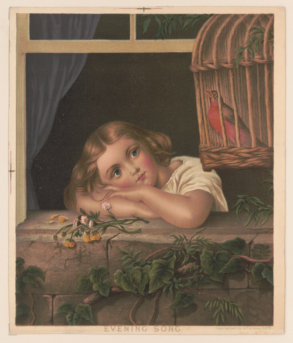 Evening song