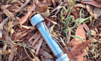 11 Pipe Bombs Found Along Long Stretch of Footpath in Canberra