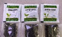 Texans Report Surge in Mystery Seeds Mailed From China