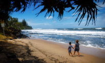 Which Australian Region Is Absorbing the Most Local Migrants?