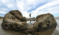 New Zealand Minister Blames ‘Ethnic Vacuum Cleaner’ for Stripping Beaches of Sea Life