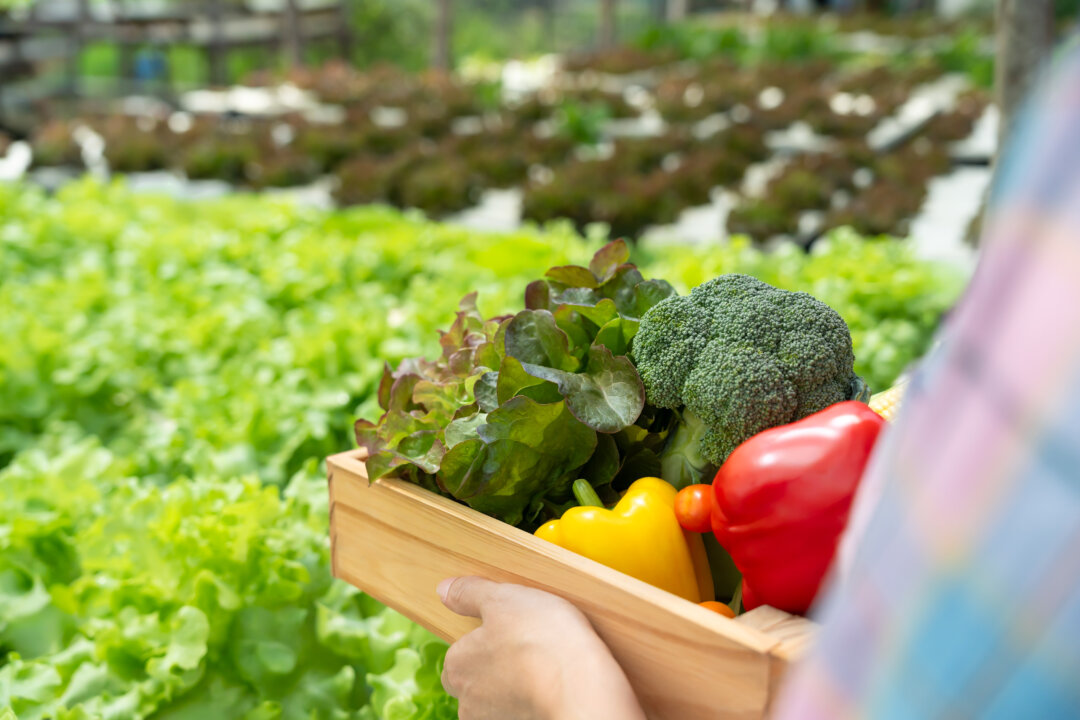 The Right to Grow Food | The Epoch Times