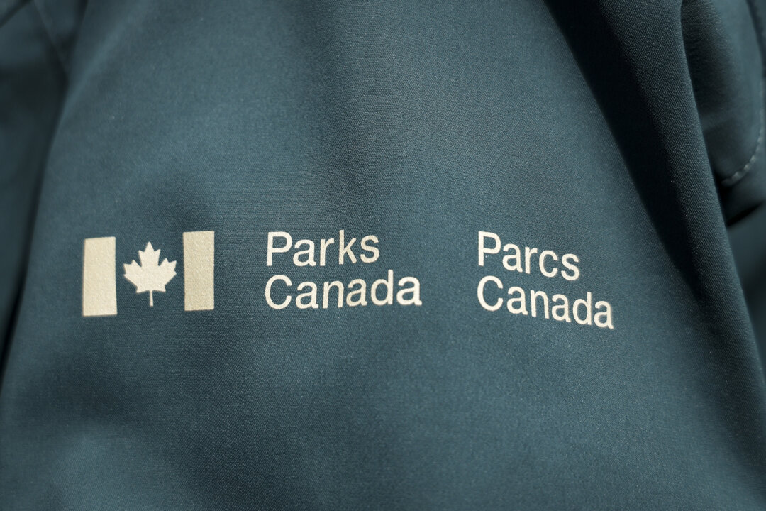Cover image for Skier ‘Uninjured’ After Being Caught Up in Avalanche in Banff National Park: Parks Canada