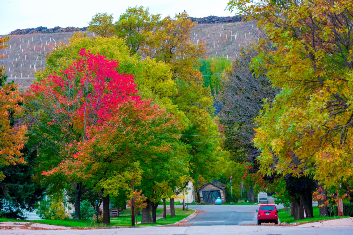 Crushed waste rock from processing taconite rises above a street lined with trees in Eveleth, Minn., on Oct. 2, 2018. (Kerem Yucel/AFP via Getty Images)