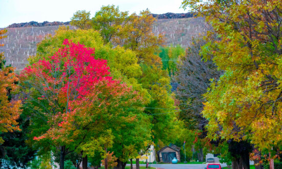 Senate Votes to Repeal Biden-Era Mining Ban in Minnesota, Sending Bill to Trump