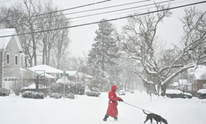 Winter Storm to Bring Heavy Snow Across US; Russia, Ukraine, US to Hold Talks in UAE