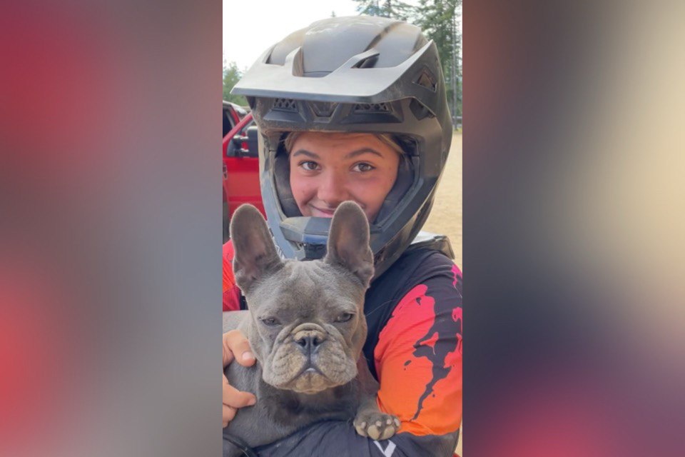 Cover image for Autopsy Says Dingoes Likely Didn’t Kill Canadian, but There Were ‘Pre-Mortem’ Bites