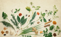 8 Things to Know About Herbs Before Using Them