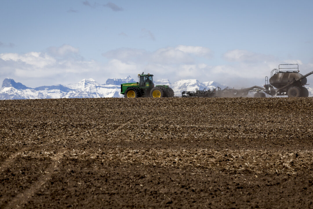 Cover image for Agriculture and Agri-Food Canada Announces Closure of Research Operations, Job Cuts