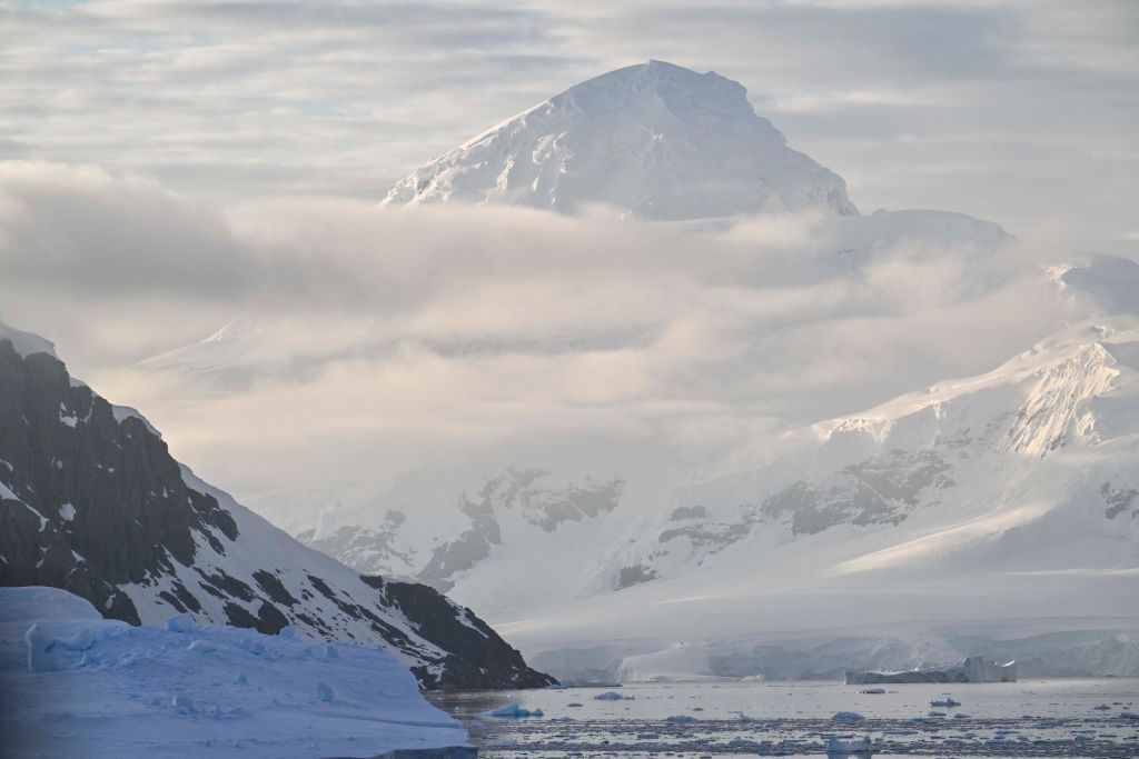 The Penguin That Sparked Gen Z’s Existential Reckoning