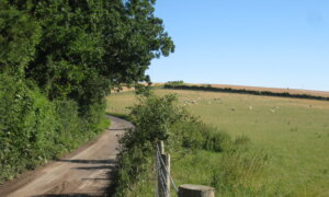 Building for Eternity: Rome’s Engineering Genius