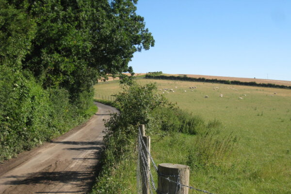 Building for Eternity: Rome’s Engineering Genius