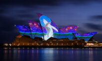 Australia Day Unity Call amid Celebrations and Protests