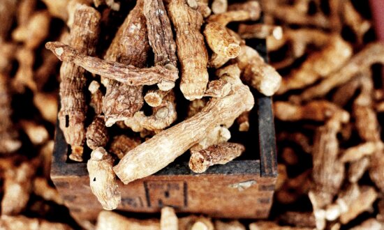 From Monkey King Legend to Modern Medicine: The Longevity Herb Polygonatum Sibiricum