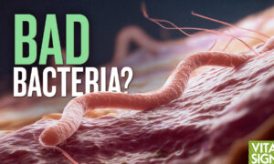 Fix the Gut Cause of Vaginal Infection, Bloating, IBS | Adeeti Gupta MD