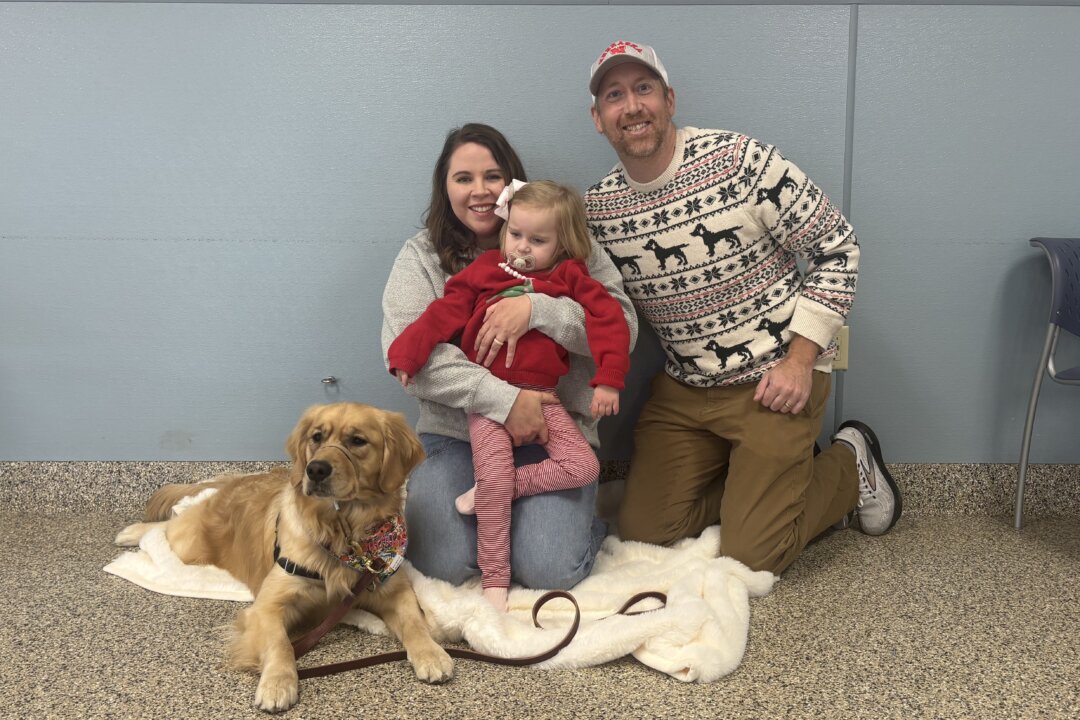 Service Dogs Provide Families With Peace of Mind