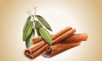 Cinnamon: A Functional Spice That Improves Blood Sugar, Lipids, and Fights Bacteria