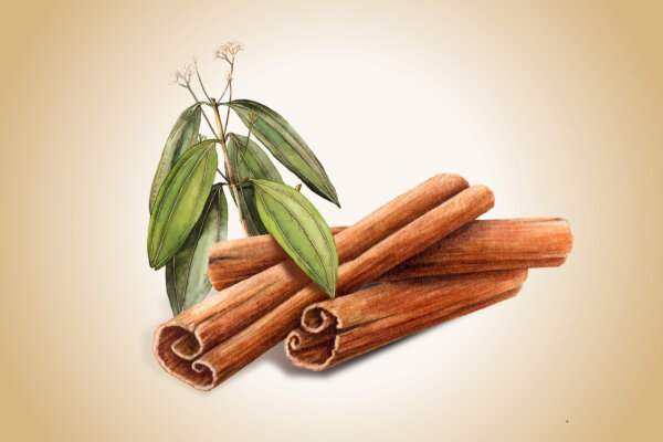 Cinnamon Improves Blood Sugar and Lowers Inflammation—How to Maximize its Benefit