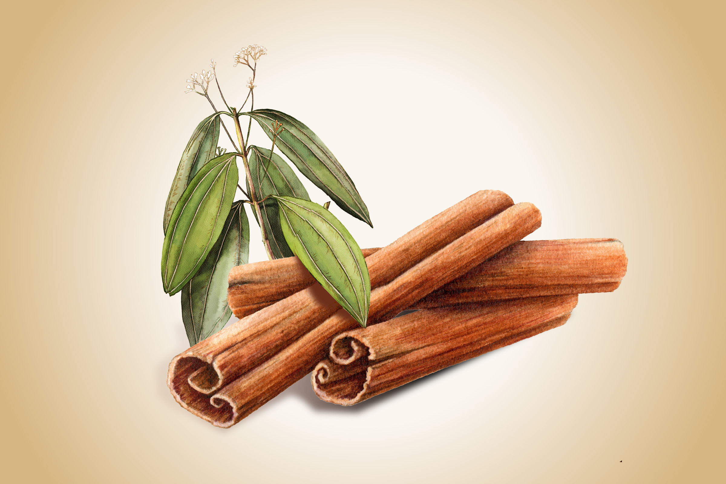 Cinnamon: A Functional Spice That Improves Blood Sugar and Lowers Inflammation