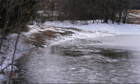 3 Young Brothers in Texas Die After Falling Through Icy Pond During Winter Storm