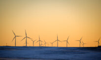 NY and 6 States Sue Federal Government Over Canceled Wind Project
