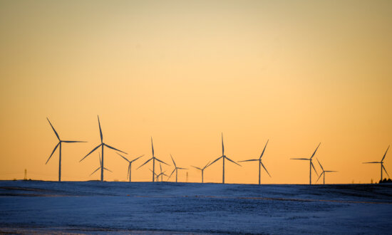 NY and 6 States Sue Federal Government Over Canceled Wind Project
