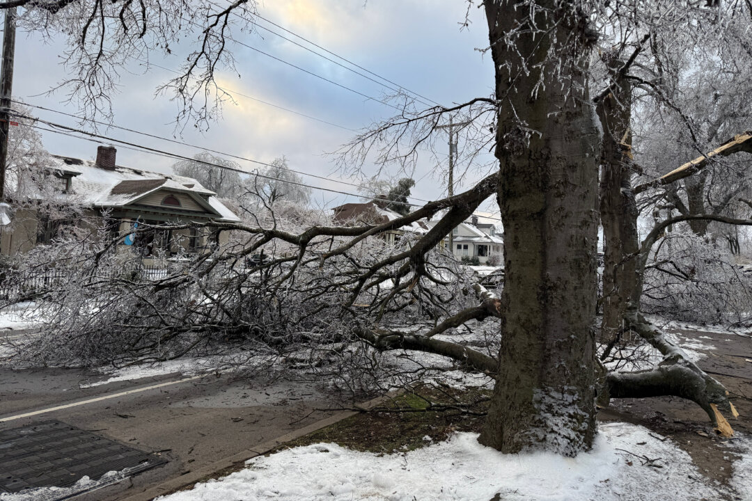 As Millions Recover From Winter Storms , Scam Warnings Intensify