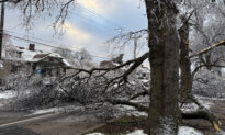 As Millions Recover From Winter Storms, Scam Warnings Intensify