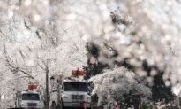 Situation in US South Grows More Dire After Days of Ice, Frigid Temperatures and Widespread Outages