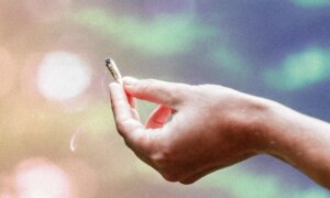 How Marijuana Has Changed in Effects and Potency