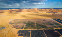 As Electricity Costs Spike, Renewable Energy Divestments Emerge as Theme of Midterms