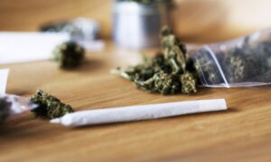 New Gold-Standard Review Finds No Strong Evidence Cannabis Relieves Nerve Pain