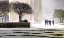More Winter Weather Leads to Heavy Snow, Canceled Flights And, in Florida, Falling Iguanas