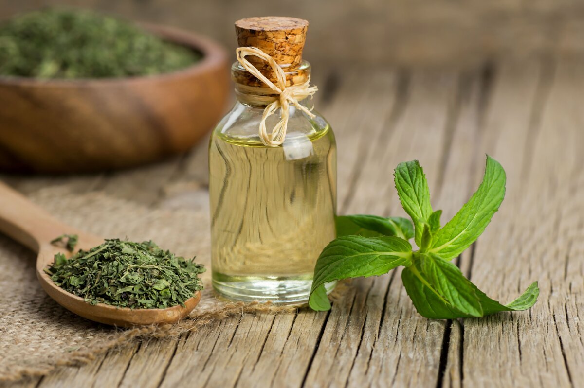 Miss Calista gets more than she bargains for when she uses a bottle of peppermint extract in a pinch, in "Miss Calista's Peppermint Bottle." (Halil ibrahim mescioglu/Shutterstock)