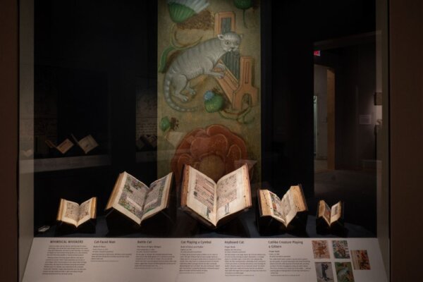 Medieval Feline Fascination