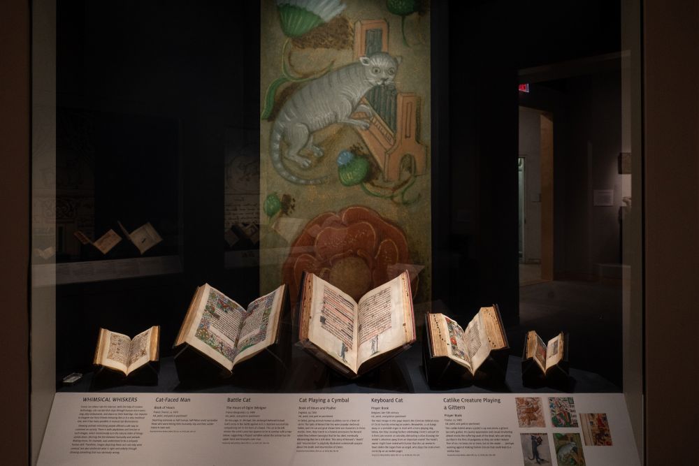 Medieval Feline Fascination