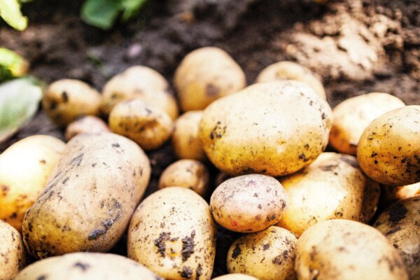 Eat Potatoes the Right Way: Calm Your Stomach, Curb Blood Sugar Spikes, and Lose Weight