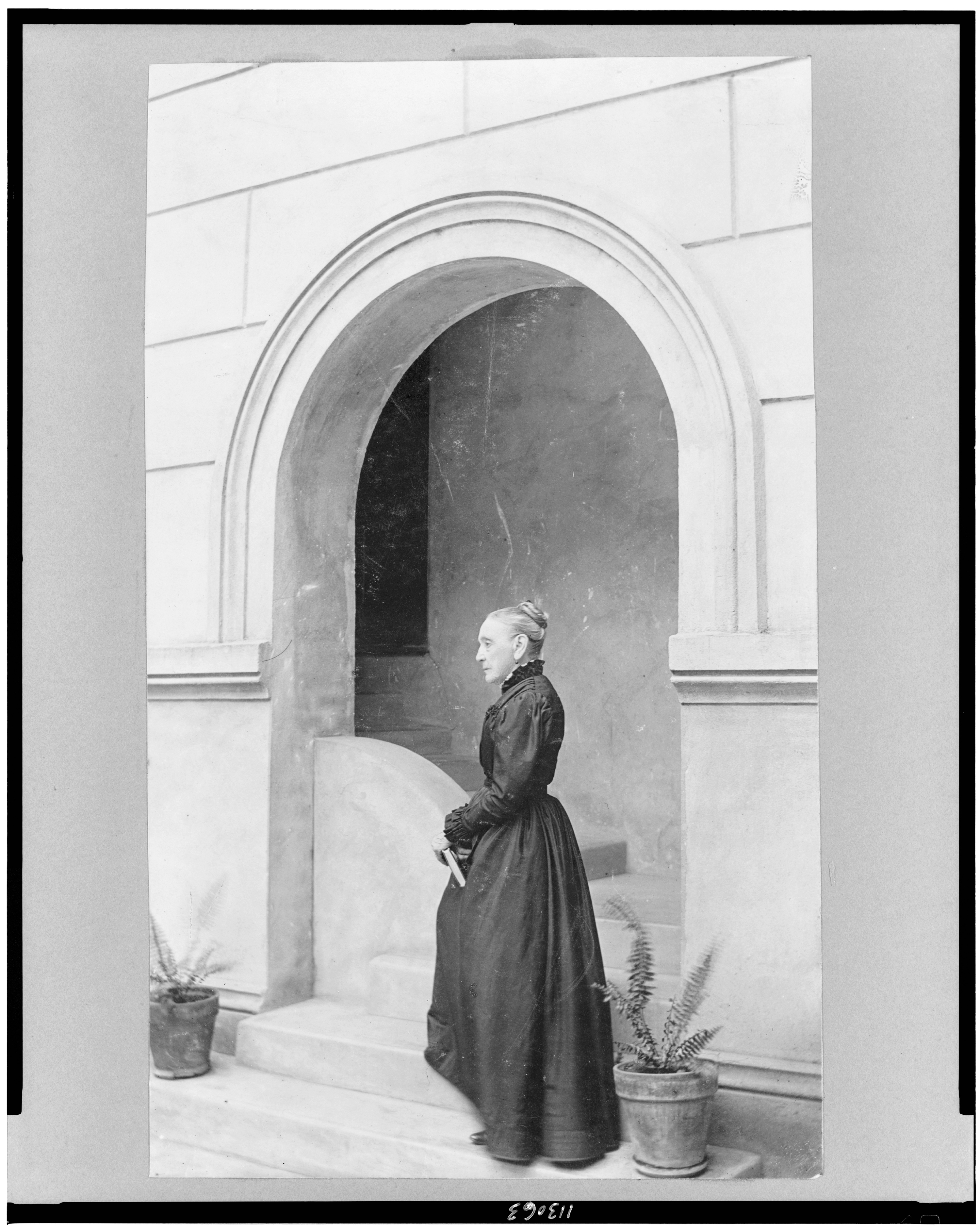 Newcomb