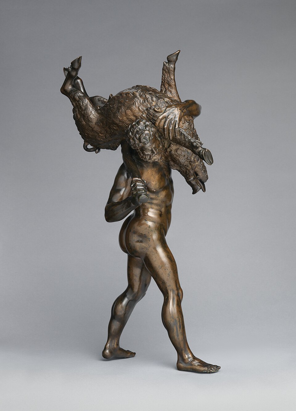 Hercules 