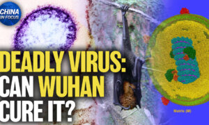 China Preps Nipah Virus Test Kits Despite Claiming No Cases