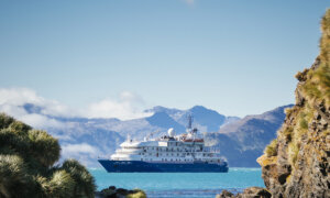 I’ve Taken 91 Cruises and Think Cruises Are Absolutely the Best Form of Travel