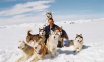 ‘Eight Below’: Man Ought to Be a Dog’s Best Friend