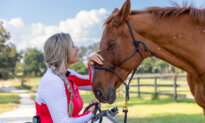 Paralyzed Equestrian Lauren Barwick Inspires Others Every Day