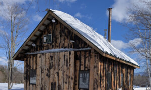 Ask the Builder: DIY Wood Preservatives