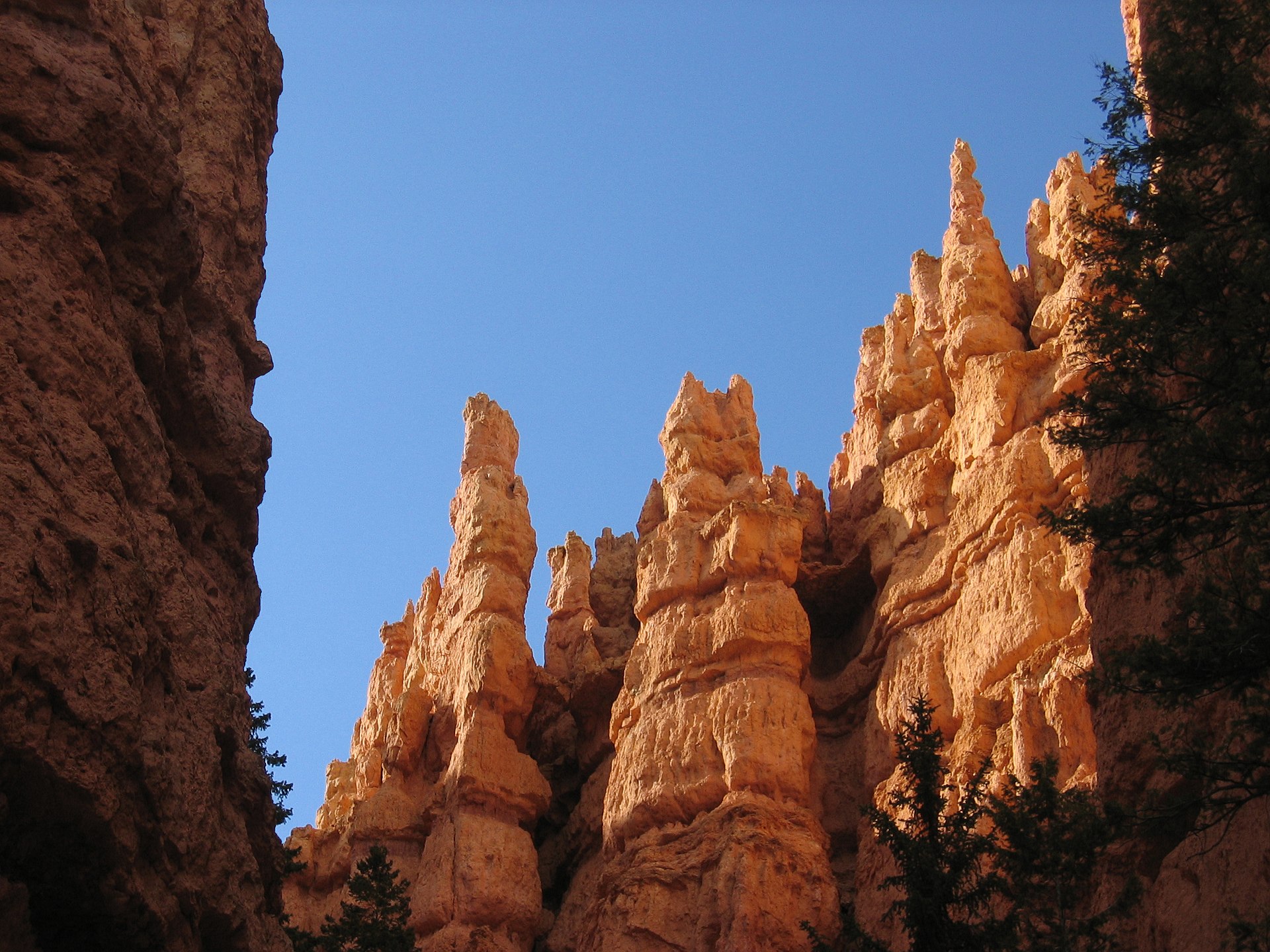 Hoodoo Bryce Canyon